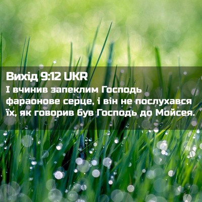 Picture 02 - Вихід 9:12 UKR - І вчинив запеклим Господь - Bible Verse Picture