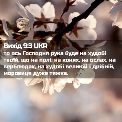 Picture 02 - Вихід 9:3 UKR - то ось Господня рука буде - Bible Verse Picture