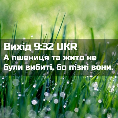 Picture 02 - Вихід 9:32 UKR - А пшениця та жито не були - Bible Verse Picture