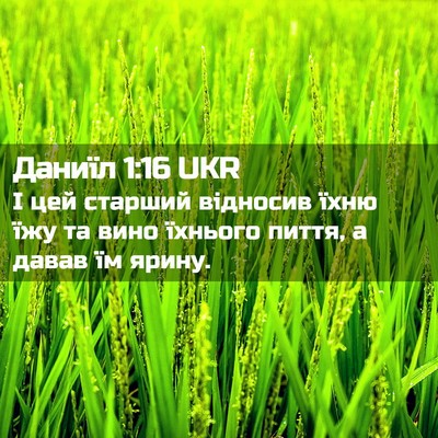 Picture 02 - Даниїл 1:16 UKR - І цей старший відносив - Bible Verse Picture