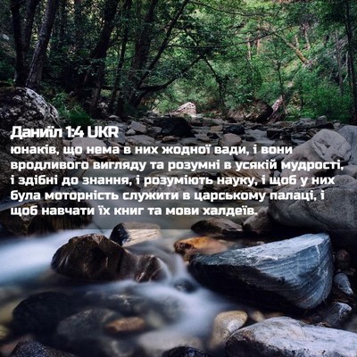 Picture 02 - Даниїл 1:4 UKR - юнаків, що нема в них - Bible Verse Picture