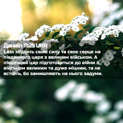 Picture 02 - Даниїл 11:25 UKR - І він збудить свою силу та - Bible Verse Picture
