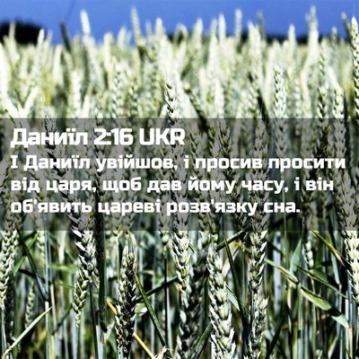 Picture 02 - Даниїл 2:16 UKR - І Даниїл увійшов, і просив - Bible Verse Picture