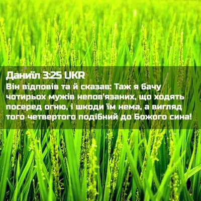 Picture 02 - Даниїл 3:25 UKR - Він відповів та й сказав: - Bible Verse Picture