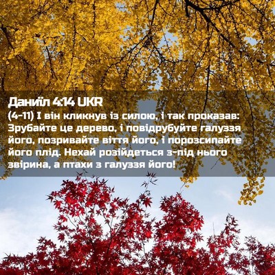 Picture 02 - Даниїл 4:14 UKR - (4-11) І він кликнув із силою, - Bible Verse Picture