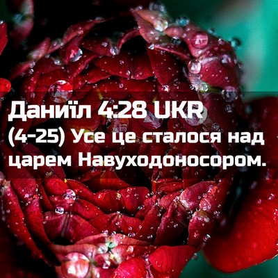 Picture 02 - Даниїл 4:28 UKR - (4-25) Усе це сталося над - Bible Verse Picture