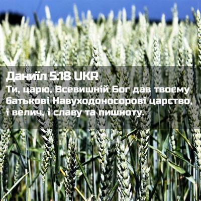 Picture 02 - Даниїл 5:18 UKR - Ти, царю, Всевишній Бог дав - Bible Verse Picture