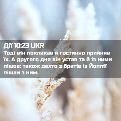 Picture 02 - Дії 10:23 UKR - Тоді він покликав й - Bible Verse Picture