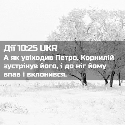 Picture 02 - Дії 10:25 UKR - А як увіходив Петро, - Bible Verse Picture