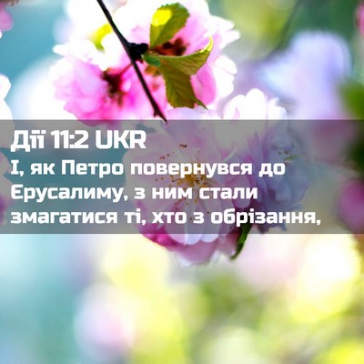 Picture 02 - Дії 11:2 UKR - І, як Петро повернувся до - Bible Verse Picture