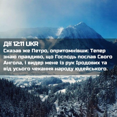 Picture 02 - Дії 12:11 UKR - Сказав же Петро, - Bible Verse Picture