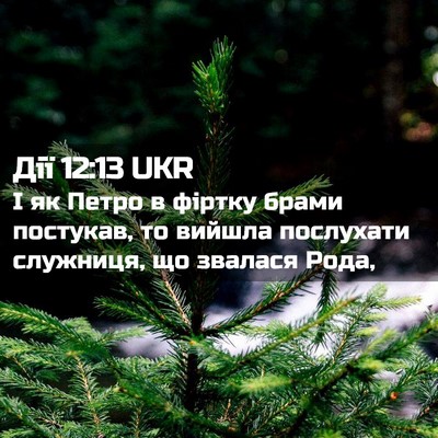 Picture 02 - Дії 12:13 UKR - І як Петро в фіртку брами - Bible Verse Picture