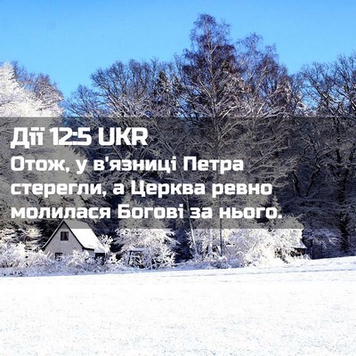 Picture 02 - Дії 12:5 UKR - Отож, у в'язниці Петра - Bible Verse Picture
