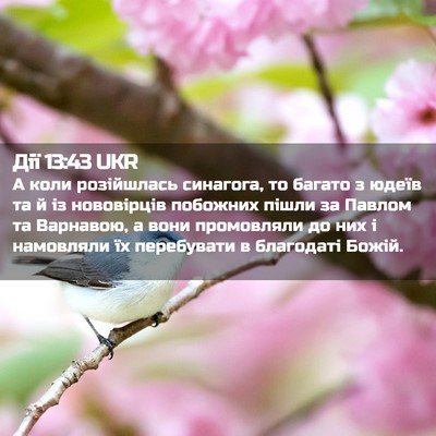 Picture 02 - Дії 13:43 UKR - А коли розійшлась - Bible Verse Picture