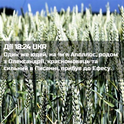Picture 02 - Дії 18:24 UKR - Один же юдей, на ім'я - Bible Verse Picture