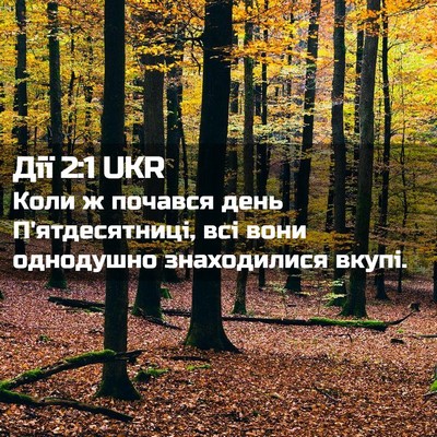 Picture 02 - Дії 2:1 UKR - Коли ж почався день - Bible Verse Picture