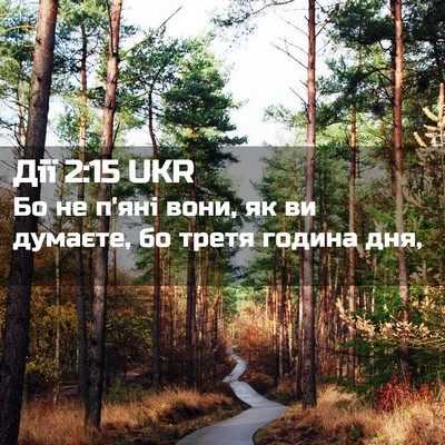Picture 02 - Дії 2:15 UKR - Бо не п'яні вони, як ви - Bible Verse Picture