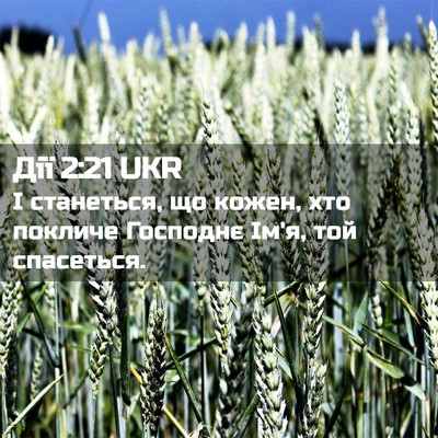 Picture 02 - Дії 2:21 UKR - І станеться, що кожен, хто - Bible Verse Picture