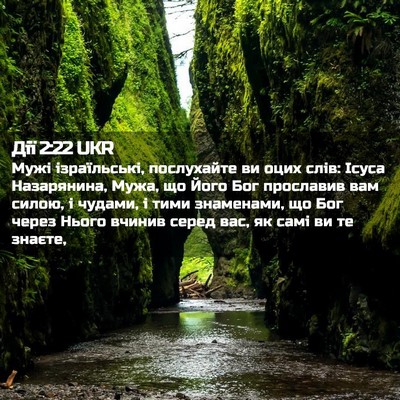 Picture 02 - Дії 2:22 UKR - Мужі ізраїльські, - Bible Verse Picture