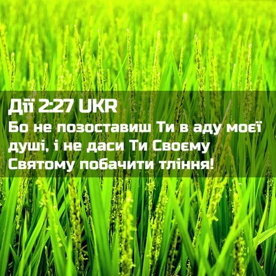 Picture 02 - Дії 2:27 UKR - Бо не позоставиш Ти в аду - Bible Verse Picture
