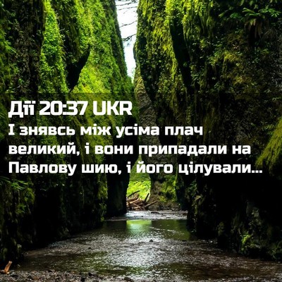 Picture 02 - Дії 20:37 UKR - І знявсь між усіма плач - Bible Verse Picture