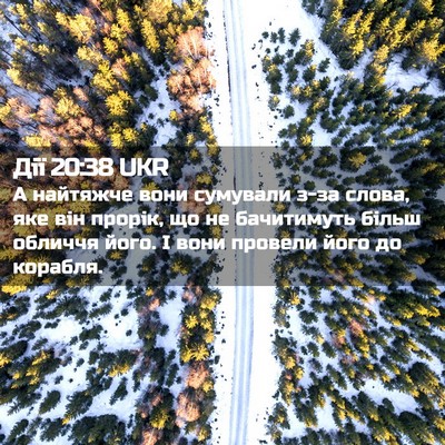 Picture 02 - Дії 20:38 UKR - А найтяжче вони сумували - Bible Verse Picture