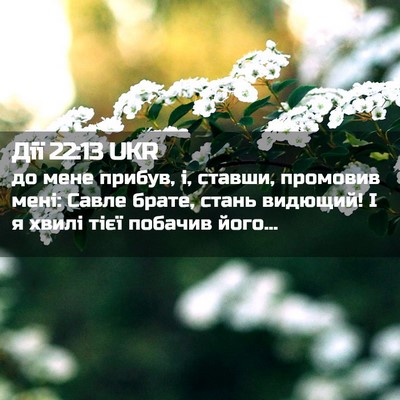 Picture 02 - Дії 22:13 UKR - до мене прибув, і, ставши, - Bible Verse Picture
