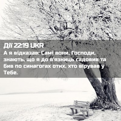 Picture 02 - Дії 22:19 UKR - А я відказав: Самі вони, - Bible Verse Picture
