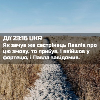 Picture 02 - Дії 23:16 UKR - Як зачув же сестрінець - Bible Verse Picture
