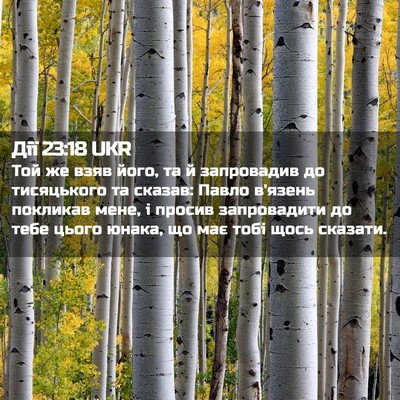 Picture 02 - Дії 23:18 UKR - Той же взяв його, та й - Bible Verse Picture