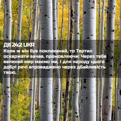 Picture 02 - Дії 24:2 UKR - Коли ж він був покликаний, - Bible Verse Picture