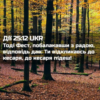 Picture 02 - Дії 25:12 UKR - Тоді Фест, побалакавши з - Bible Verse Picture
