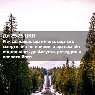 Picture 02 - Дії 25:25 UKR - Я ж дізнавсь, що нічого, - Bible Verse Picture