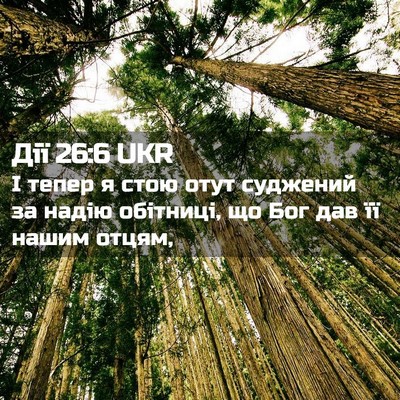 Picture 02 - Дії 26:6 UKR - І тепер я стою отут - Bible Verse Picture