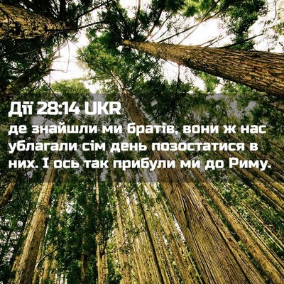 Picture 02 - Дії 28:14 UKR - де знайшли ми братів, вони - Bible Verse Picture