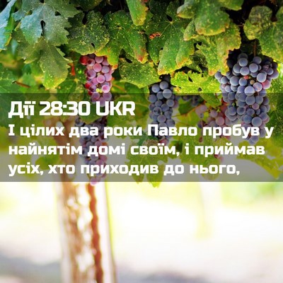 Picture 02 - Дії 28:30 UKR - І цілих два роки Павло - Bible Verse Picture