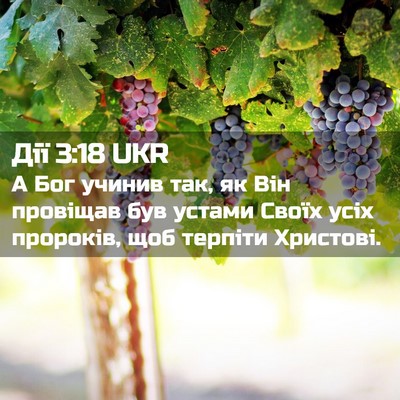 Picture 02 - Дії 3:18 UKR - А Бог учинив так, як Він - Bible Verse Picture