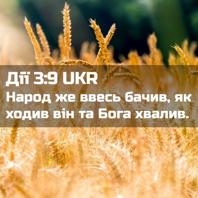 Picture 02 - Дії 3:9 UKR - Народ же ввесь бачив, як - Bible Verse Picture