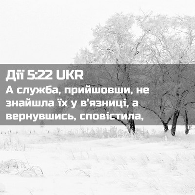 Picture 02 - Дії 5:22 UKR - А служба, прийшовши, не - Bible Verse Picture