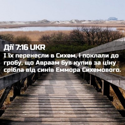 Picture 02 - Дії 7:16 UKR - І їх перенесли в Сихем, і - Bible Verse Picture