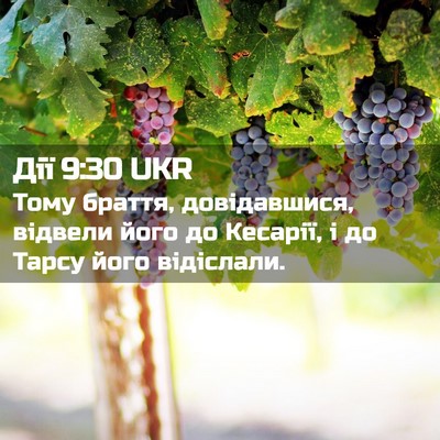 Picture 02 - Дії 9:30 UKR - Тому браття, довідавшися, - Bible Verse Picture