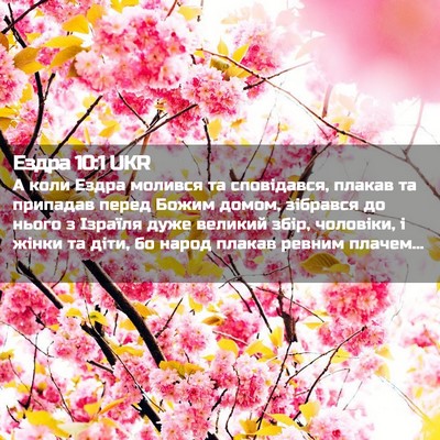 Picture 02 - Ездра 10:1 UKR - А коли Ездра молився та - Bible Verse Picture