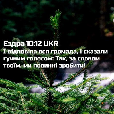 Picture 02 - Ездра 10:12 UKR - І відповіла вся громада, і - Bible Verse Picture