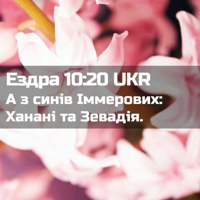 Picture 02 - Ездра 10:20 UKR - А з синів Іммерових: Ханані - Bible Verse Picture