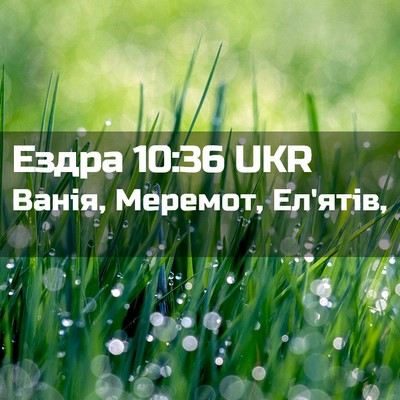 Picture 02 - Ездра 10:36 UKR - Ванія, Меремот, - Bible Verse Picture