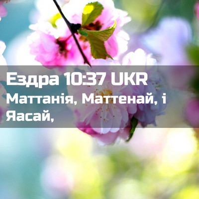 Picture 02 - Ездра 10:37 UKR - Маттанія, Маттенай, і - Bible Verse Picture