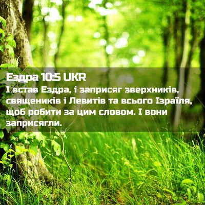 Picture 02 - Ездра 10:5 UKR - І встав Ездра, і заприсяг - Bible Verse Picture