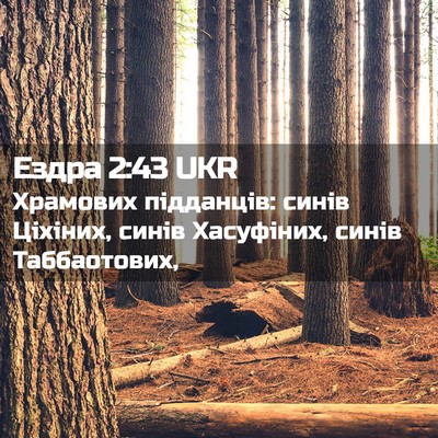 Picture 02 - Ездра 2:43 UKR - Храмових підданців: синів - Bible Verse Picture