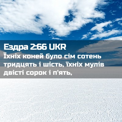 Picture 02 - Ездра 2:66 UKR - Їхніх коней було сім - Bible Verse Picture
