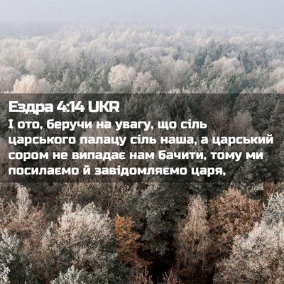 Picture 02 - Ездра 4:14 UKR - І ото, беручи на увагу, що - Bible Verse Picture